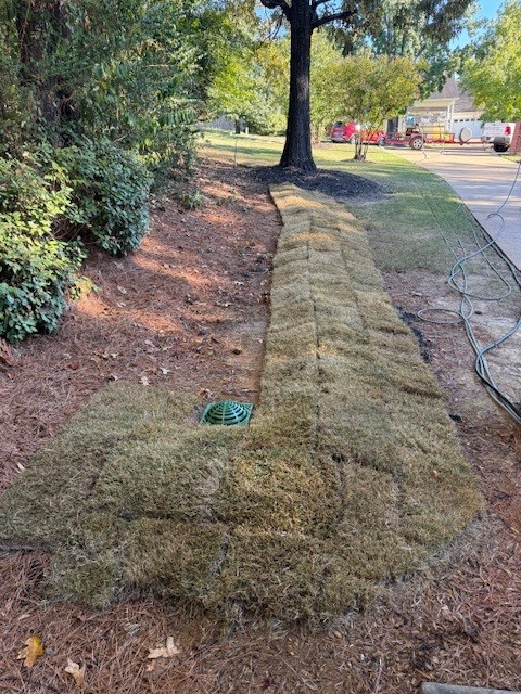 Spot-on Sod Installation in Oxford, MS